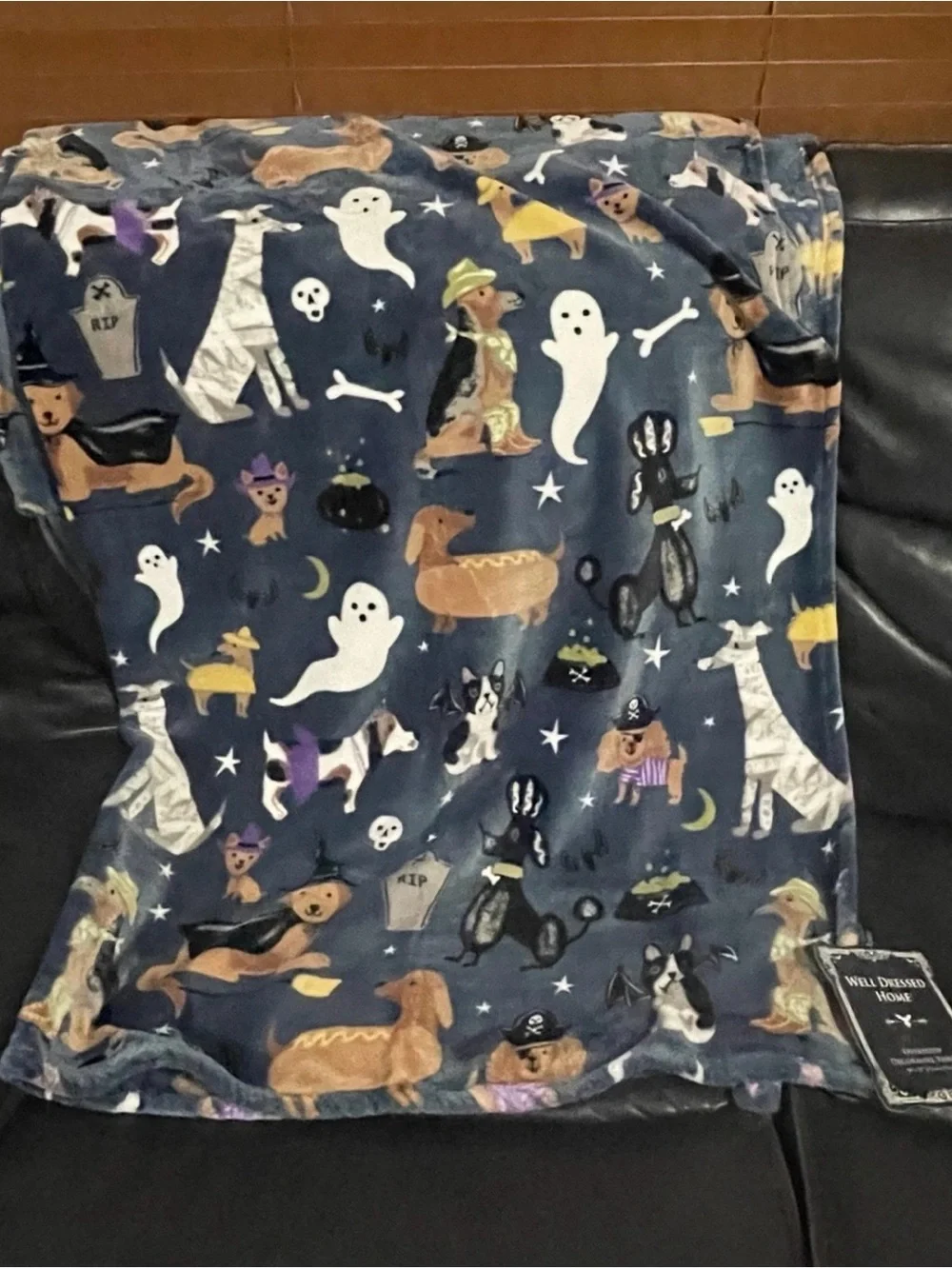 Halloween Well Dressed Home Custumed Dogs Throw - Halloween Dogs Throw